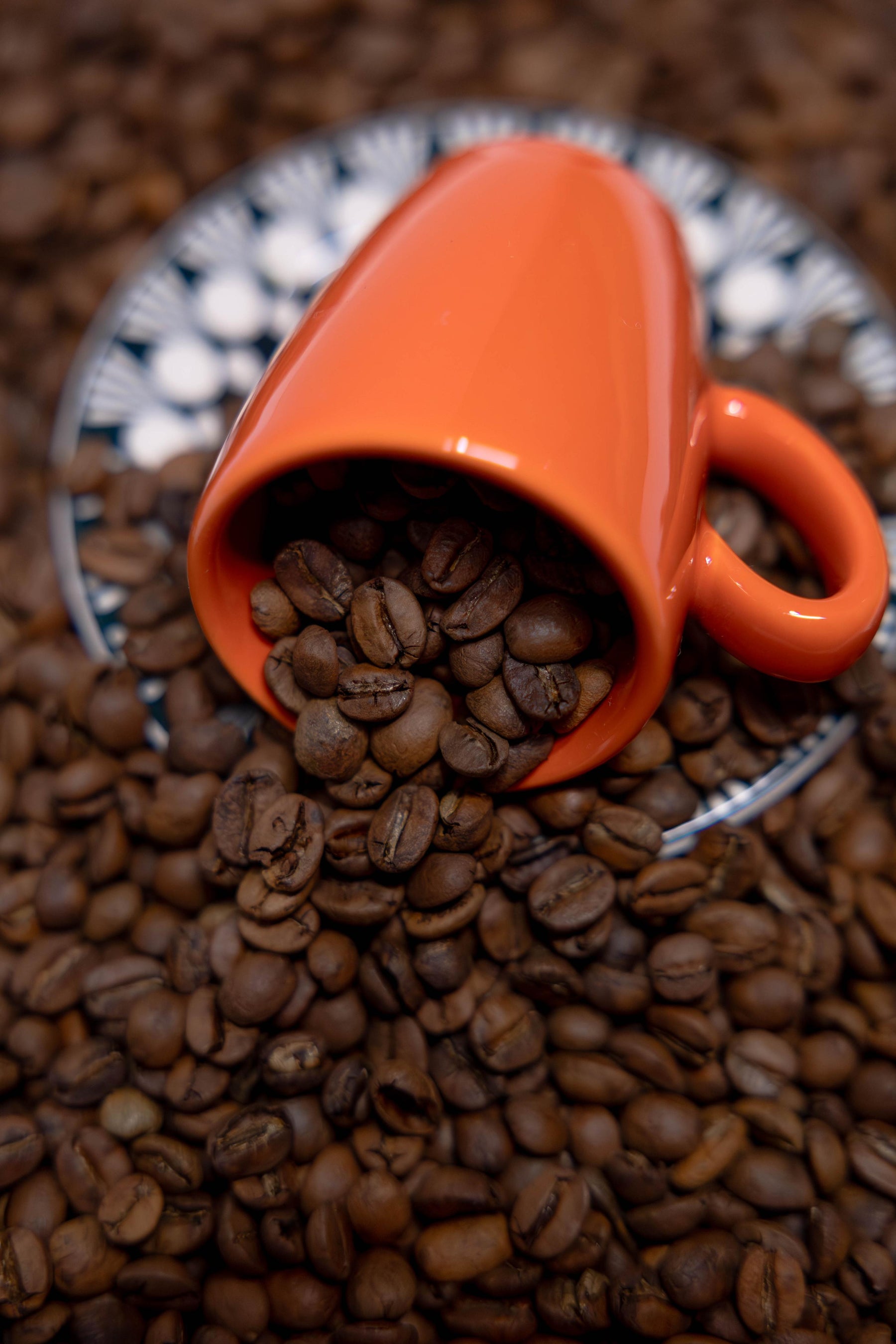 Café em grãos - 1 KG