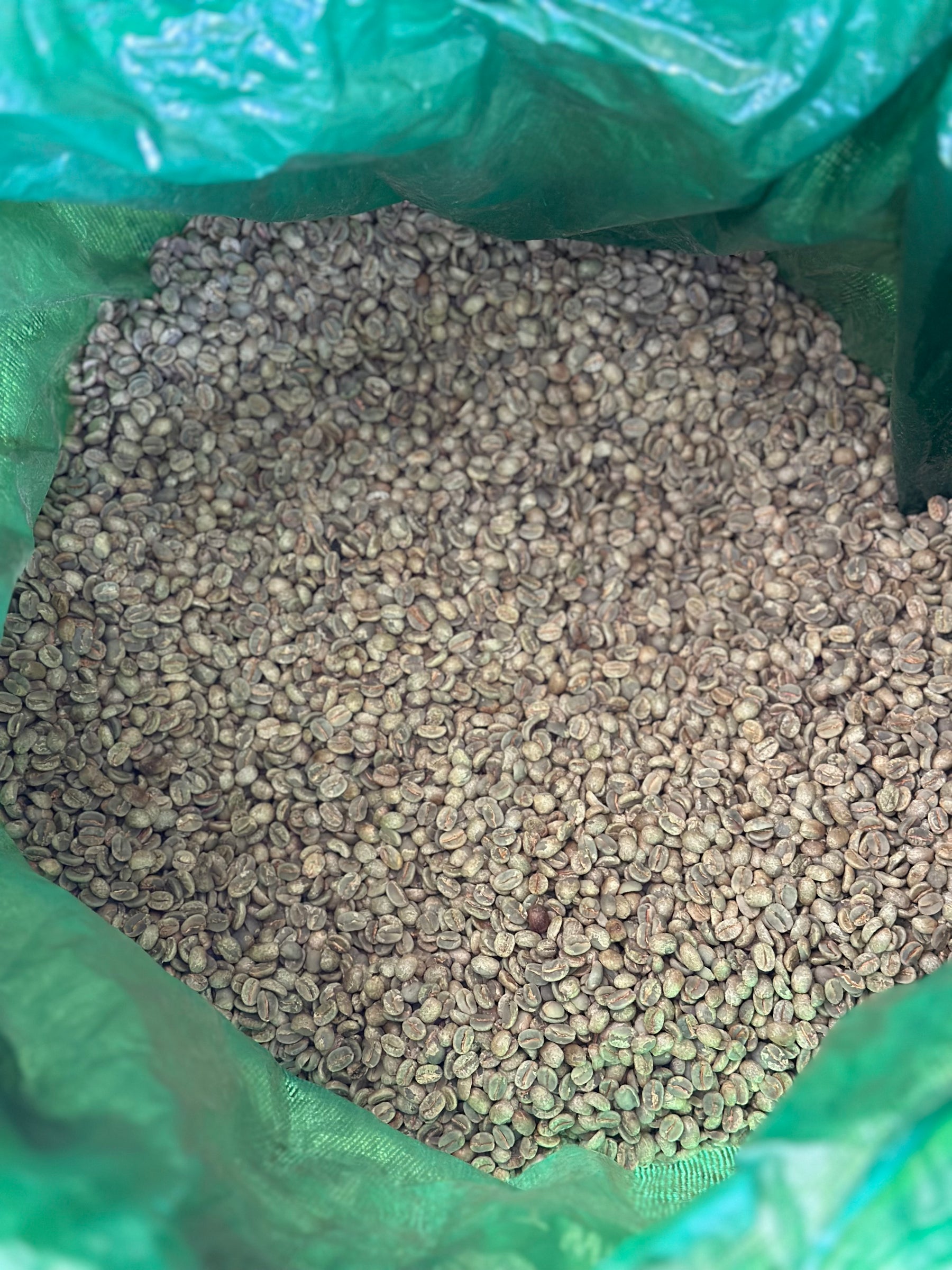 Café em Grãos 100% Arábica 1 Kg - Direto do Produtor - Interior de Minas Gerais - Torra média