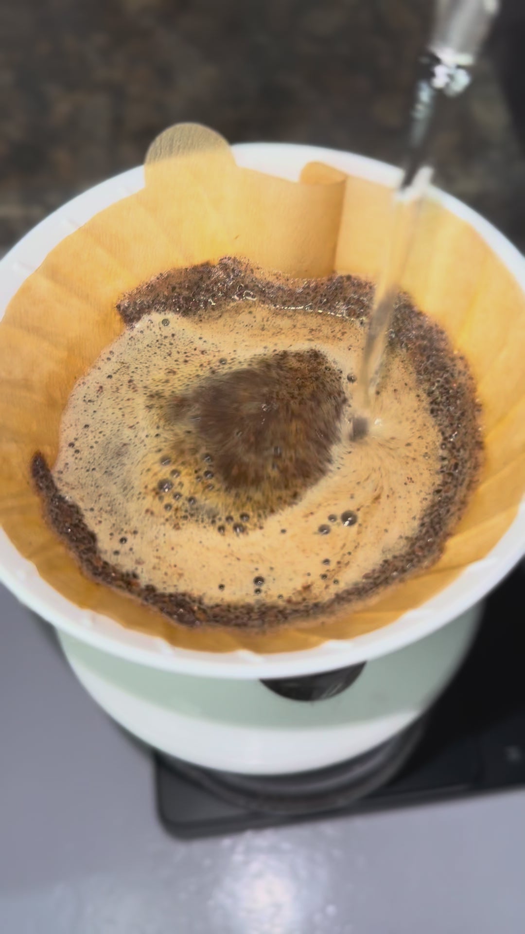 Café em Grãos 100% Arábica 1 Kg - Direto do Produtor - Interior de Minas Gerais - Torra média